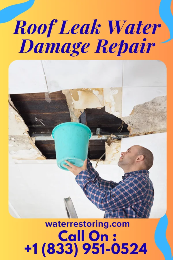 Roof Leak Water Damage Repair in Short, OK